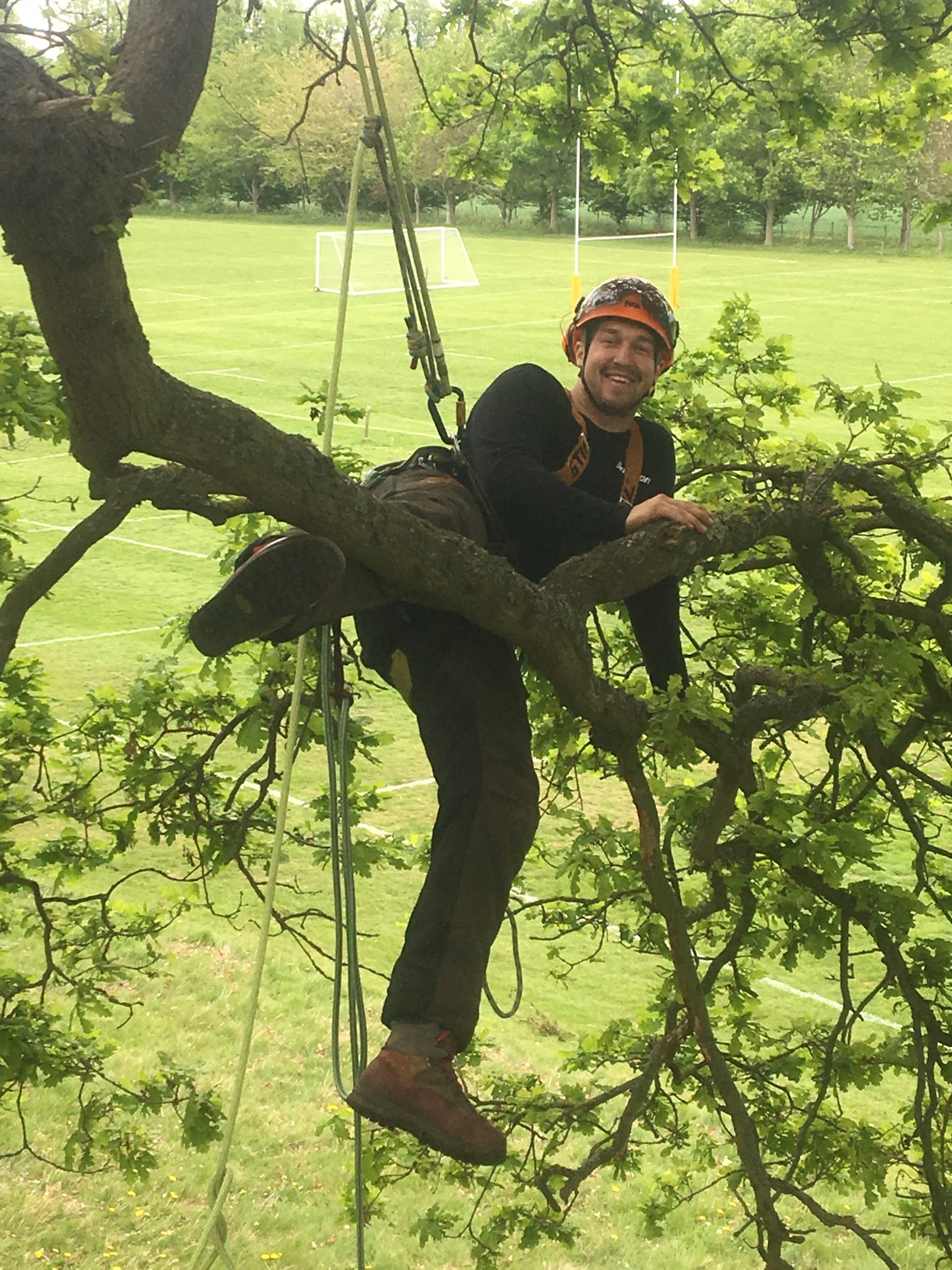 JSA Arborist climbing and Rigging Course